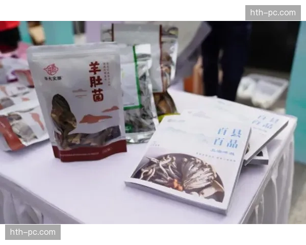 国米比赛亮点：攻防转换节奏掌控精准，双前锋动态互补效果显著